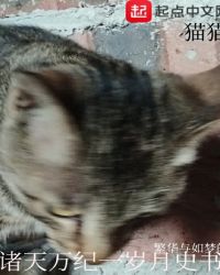 �������һ����ʷ��