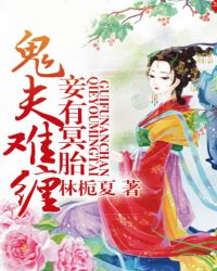 鬼夫难从,妾有冥胎