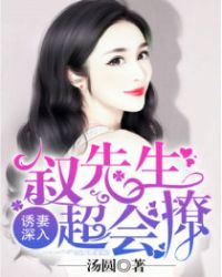 诱妻深入:叙先生超会撩