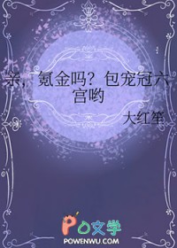 亲,氪金吗?包宠冠六宫哟