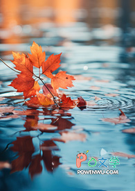 ����е�������