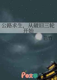 公路求生,从破旧三轮开始