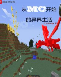 ��MC��ʼ���������