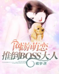 网游萌恋:推倒BOSS大人