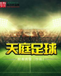 天庭足球