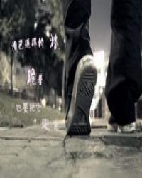 �˲�����������