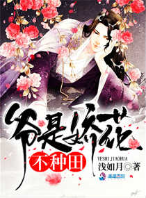 ү�ǽ����������