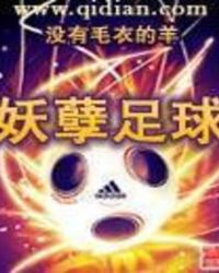 妖孽足球