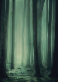 魔王的俘虜(調教H)