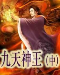 九天神王(中)