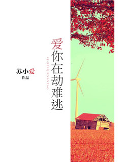 �����ڽ�����