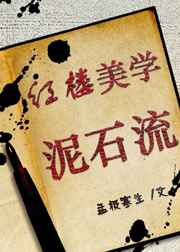 红楼美学泥石流 番外完结