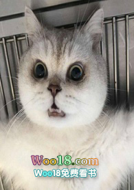 ���������