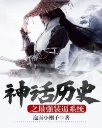 ����ʷ֮��ǿװ��ϵͳ