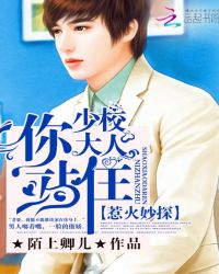 惹火妙探:少校大人,你站住