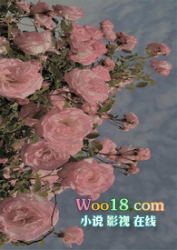 ��ϵͳ�����ȹ��ԣ�NP��