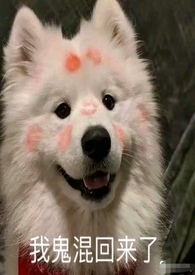 �ͷ������桿ĸ��3p��